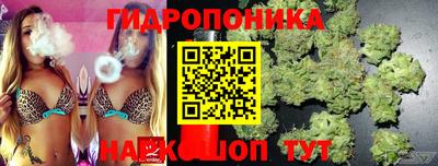 ешки Моздок