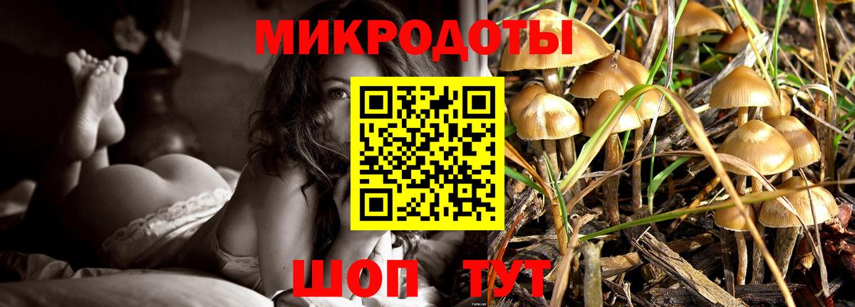 Гурьевск  Псилоцибиновые грибы Cubensis  Вход с VPN 