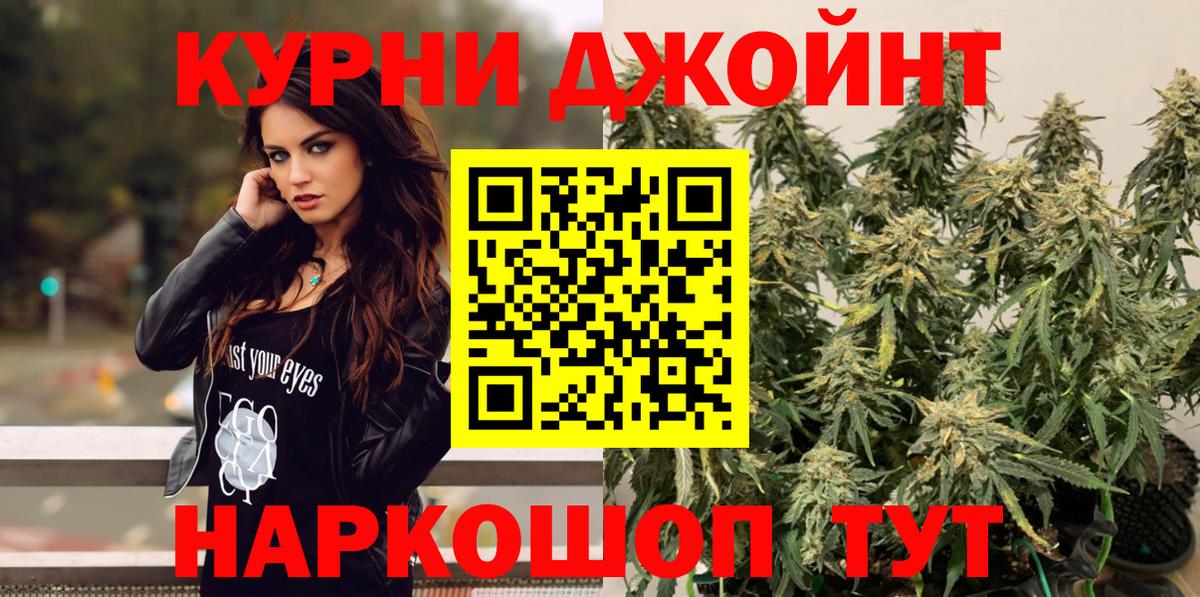 Каннабис OG Kush Гурьевск